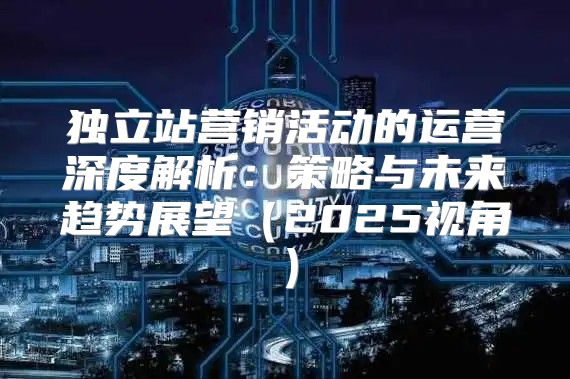 独立站营销活动的运营深度解析：策略与未来趋势展望2025视角