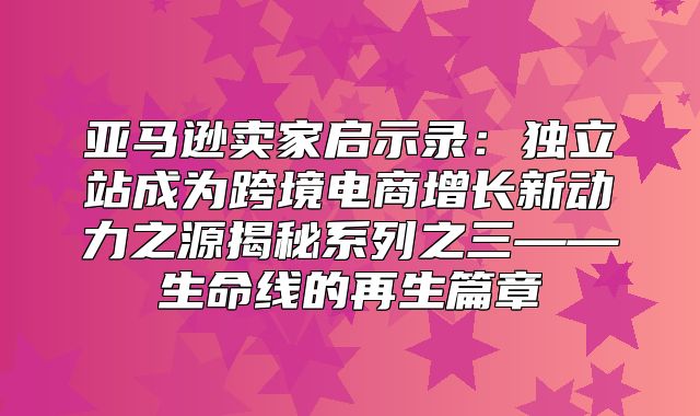 亚马逊卖家启示录：独立站成为跨境电商增长新动力之源揭秘系列之三——生命线的再生篇章