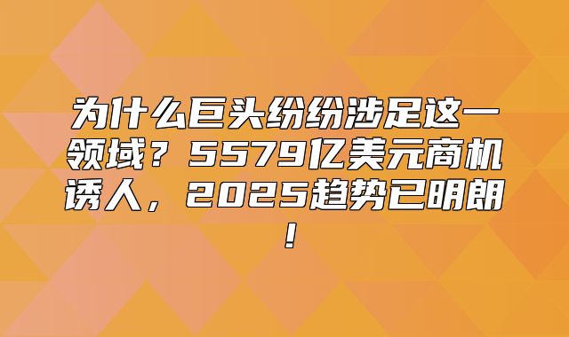 为什么巨头纷纷涉足这一领域？5579亿美元商机诱人，2025趋势已明朗！