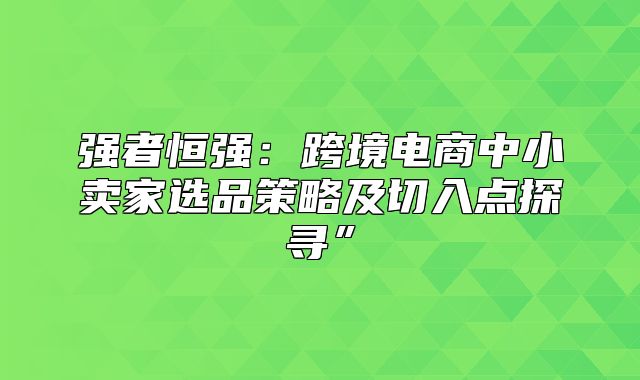 强者恒强：跨境电商中小卖家选品策略及切入点探寻”