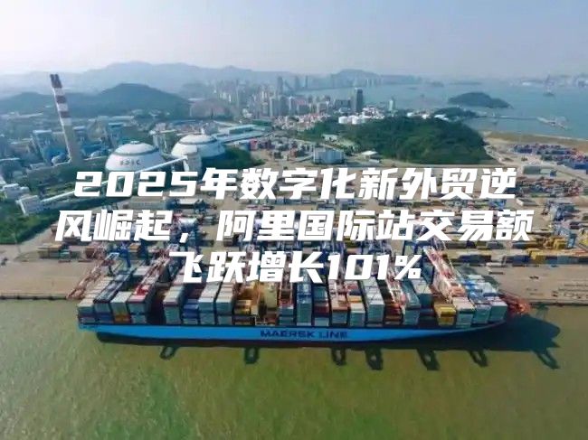 2025年数字化新外贸逆风崛起，阿里国际站交易额飞跃增长101%