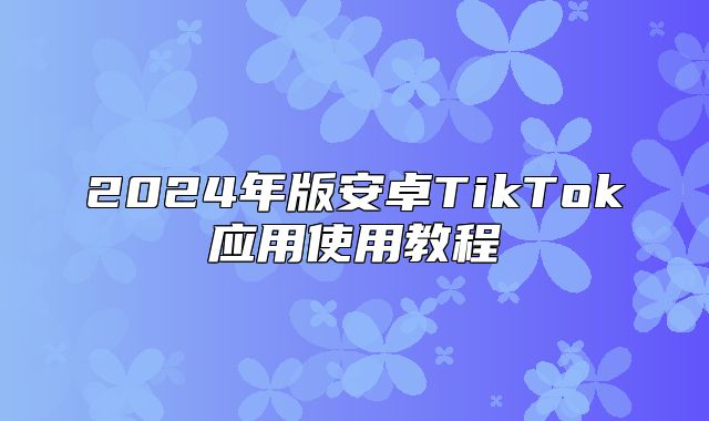 2025年版安卓TikTok应用使用教程