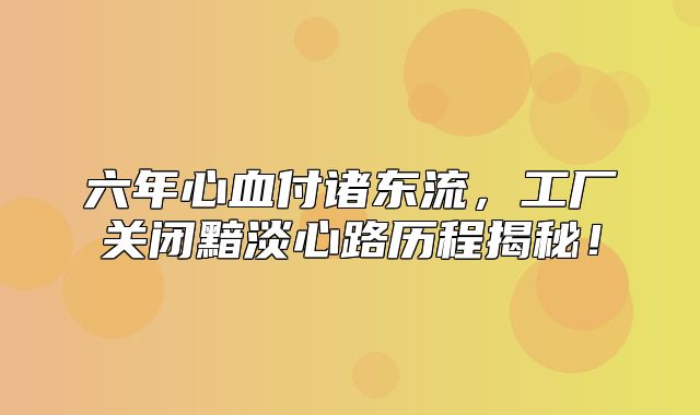 六年心血付诸东流，工厂关闭黯淡心路历程揭秘！
