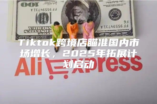 Tiktok跨境店瞄准国内市场增长，2025年拓展计划启动