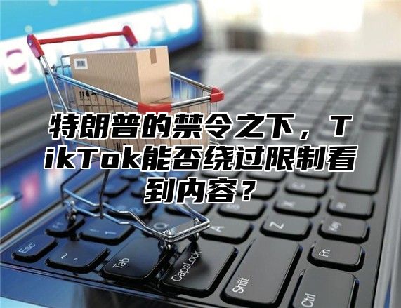 特朗普的禁令之下，TikTok能否绕过限制看到内容？