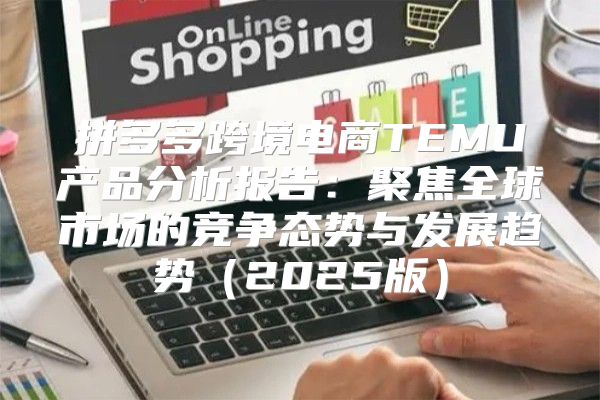 拼多多跨境电商TEMU产品分析报告：聚焦全球市场的竞争态势与发展趋势2025版
