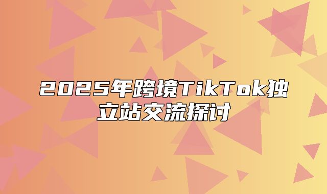 2025年跨境TikTok独立站交流探讨