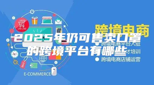 2025年仍可售卖口罩的跨境平台有哪些