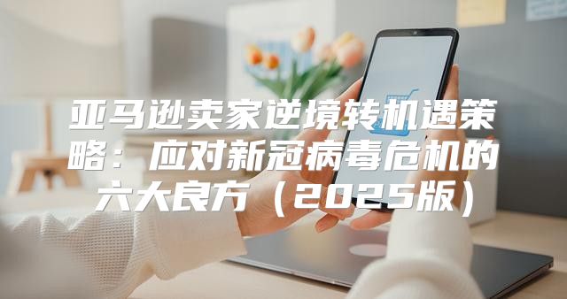 亚马逊卖家逆境转机遇策略：应对新冠病毒危机的六大良方2025版