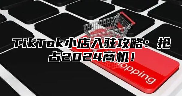 TikTok小店入驻攻略：抢占2025商机！