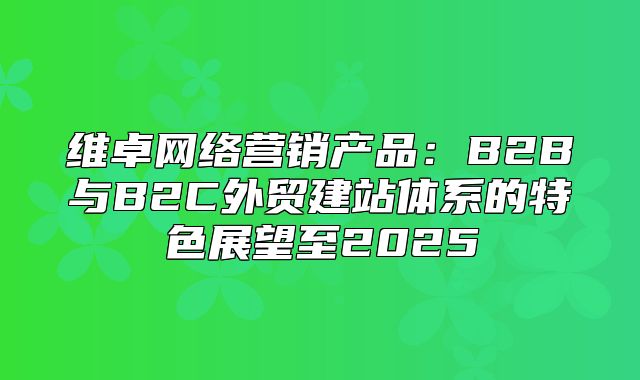 维卓网络营销产品：B2B与B2C外贸建站体系的特色展望至2025