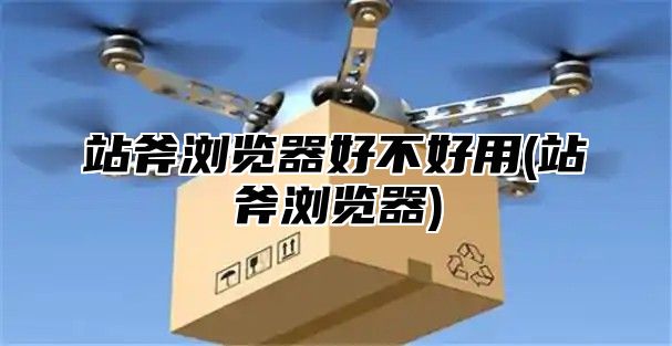 站斧浏览器好不好用(站斧浏览器)