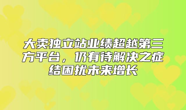 大卖独立站业绩超越第三方平台，仍有待解决之症结困扰未来增长