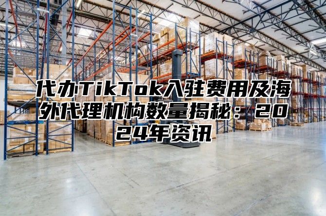 代办TikTok入驻费用及海外代理机构数量揭秘：2025年资讯