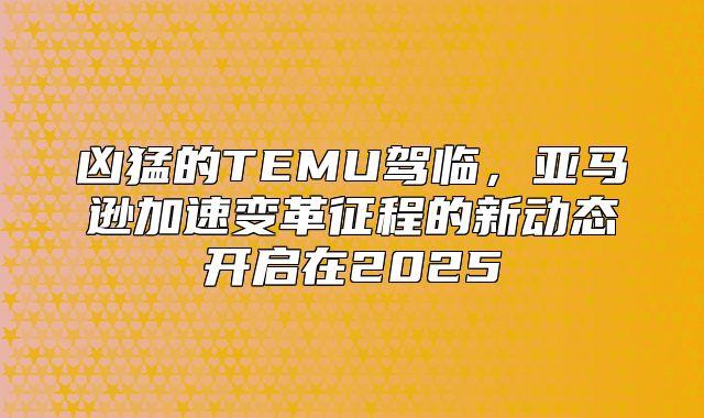 凶猛的TEMU驾临，亚马逊加速变革征程的新动态开启在2025