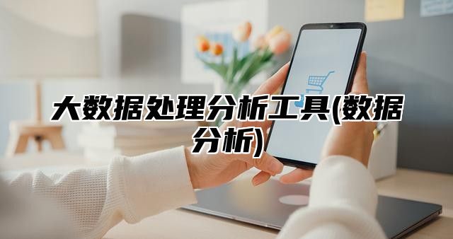大数据处理分析工具(数据分析)