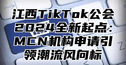 江西TikTok公会2025全新起点：MCN机构申请引领潮流风向标
