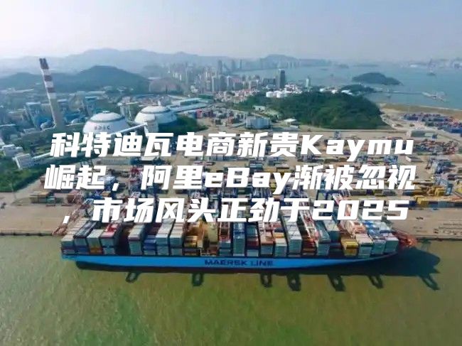科特迪瓦电商新贵Kaymu崛起，阿里eBay渐被忽视，市场风头正劲于2025