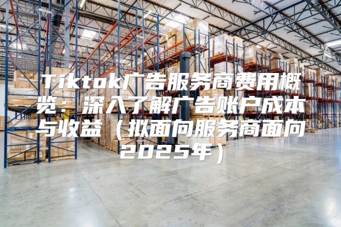 Tiktok广告服务商费用概览：深入了解广告账户成本与收益拟面向服务商面向2025年