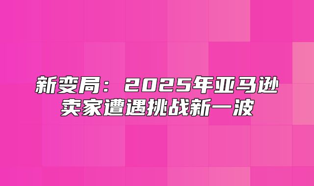 新变局：2025年亚马逊卖家遭遇挑战新一波