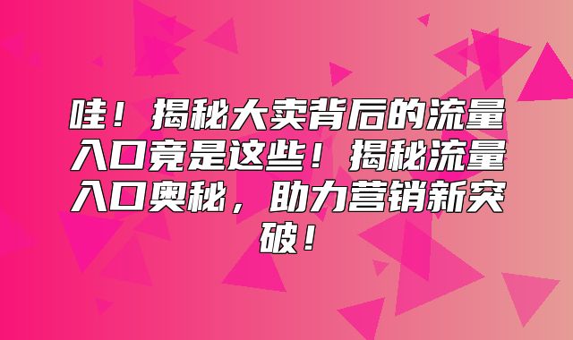 哇！揭秘大卖背后的流量入口竟是这些！揭秘流量入口奥秘，助力营销新突破！