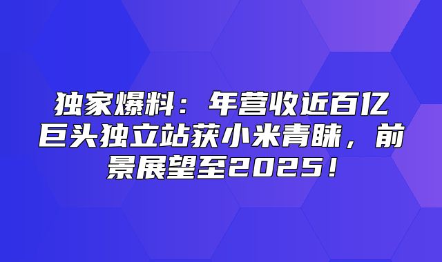 独家爆料：年营收近百亿巨头独立站获小米青睐，前景展望至2025！