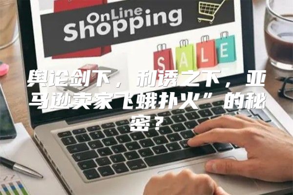 舆论剑下，利诱之下，亚马逊卖家飞蛾扑火”的秘密？