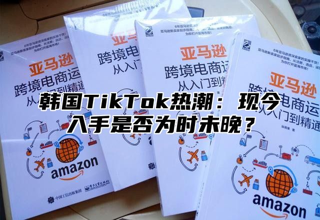 韩国TikTok热潮：现今入手是否为时未晚？