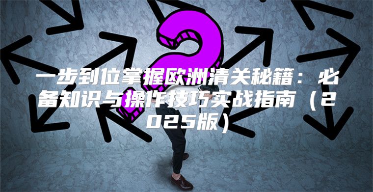 一步到位掌握欧洲清关秘籍：必备知识与操作技巧实战指南2025版