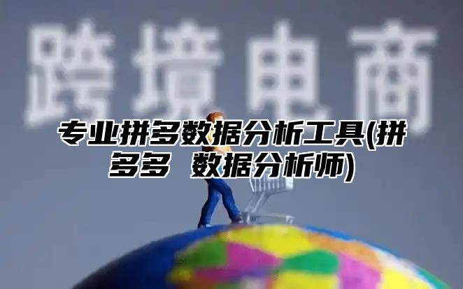 专业拼多数据分析工具(拼多多 数据分析师)