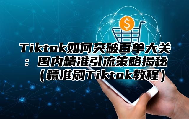 Tiktok如何突破百单大关：国内精准引流策略揭秘精准刷Tiktok教程