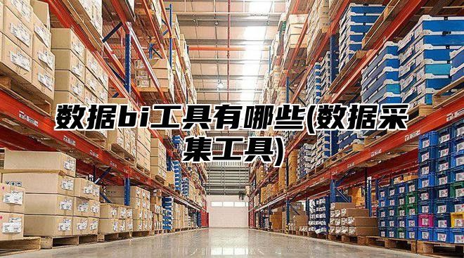 数据bi工具有哪些(数据采集工具)