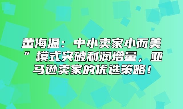 董海温：中小卖家小而美”模式突破利润增量，亚马逊卖家的优选策略！