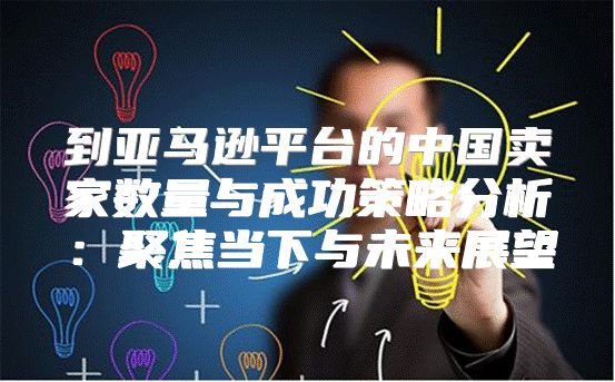 到亚马逊平台的中国卖家数量与成功策略分析：聚焦当下与未来展望