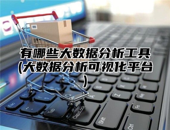 有哪些大数据分析工具(大数据分析可视化平台)