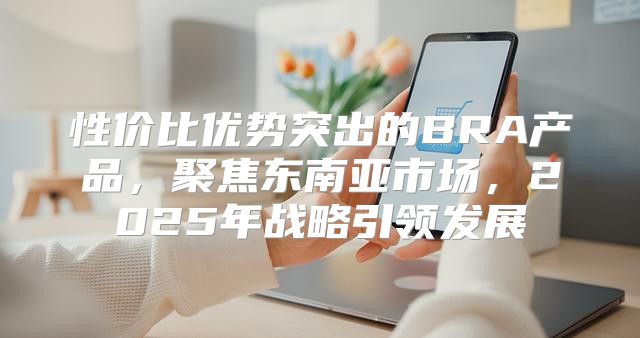 性价比优势突出的BRA产品，聚焦东南亚市场，2025年战略引领发展