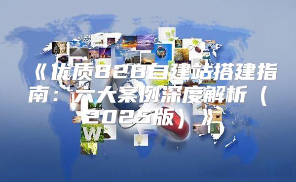 优质B2B自建站搭建指南：六大案例深度解析2025版