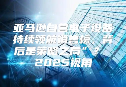 亚马逊自营电子设备持续领航销售榜，背后是策略之局”？ 2025视角