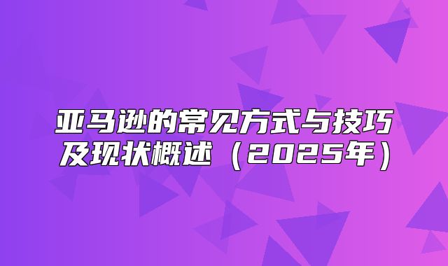 亚马逊的常见方式与技巧及现状概述2025年