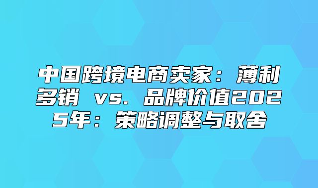 中国跨境电商卖家：薄利多销 vs. 品牌价值2025年：策略调整与取舍