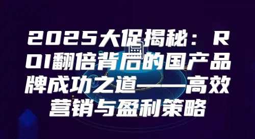 2025大促揭秘：ROI翻倍背后的国产品牌成功之道——高效营销与盈利策略