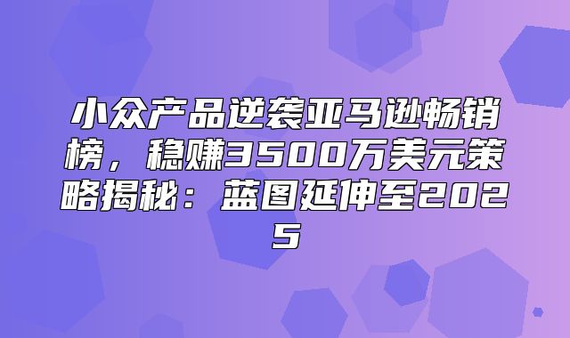 小众产品逆袭亚马逊畅销榜，稳赚3500万美元策略揭秘：蓝图延伸至2025