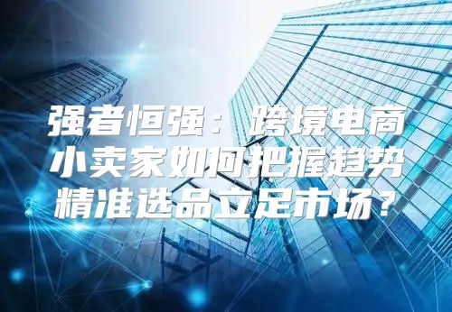 强者恒强：跨境电商小卖家如何把握趋势精准选品立足市场？