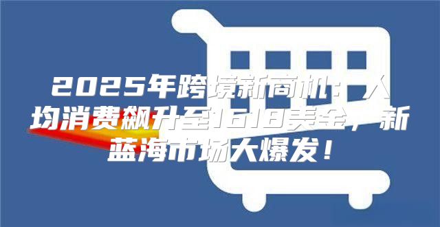 2025年跨境新商机：人均消费飙升至1618美金，新蓝海市场大爆发！