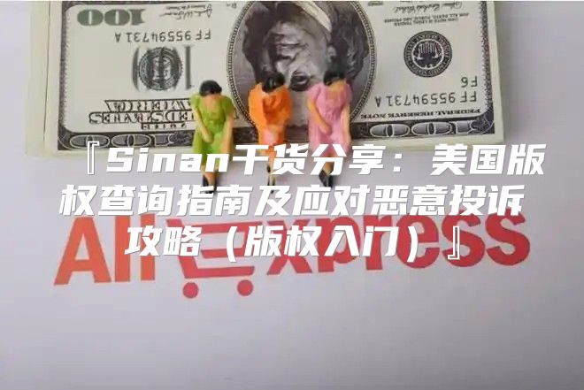 『Sinan干货分享：美国版权查询指南及应对恶意投诉攻略版权入门』
