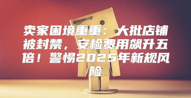 卖家困境重重：大批店铺被封禁，安检费用飙升五倍！警惕2025年新规风险