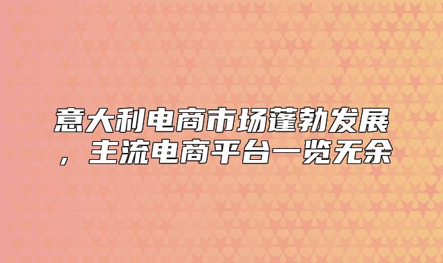 意大利电商市场蓬勃发展，主流电商平台一览无余
