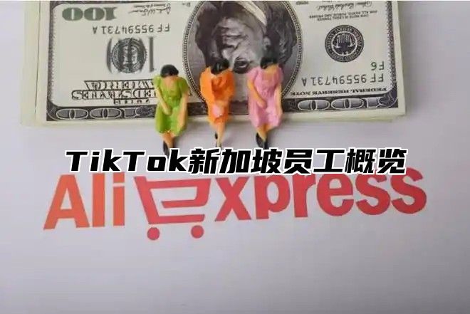 TikTok新加坡员工概览