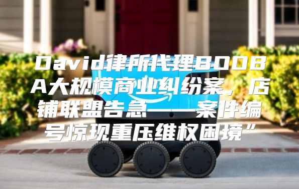 David律所代理BOOBA大规模商业纠纷案，店铺联盟告急——案件编号惊现重压维权困境”