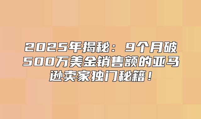 2025年揭秘：9个月破500万美金销售额的亚马逊卖家独门秘籍！
